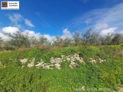 KALIVIA Kreta, Kalivaia Olivenhain 55 Bäume Ein persönlicher Rückzugsort inmitten der Natur Grundstück kaufen